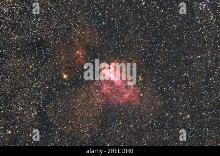 La Nebula Omega, conosciuta anche come la Nebula Swan, segno di spunta Nebula, e Horseshoe Nebula Messier 17, M17, catturata con un telescopio rifrangente Foto Stock