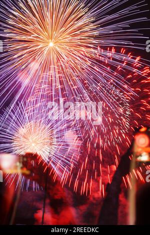 Fuochi d'artificio durante il festival di Zurigo del 2023 Foto Stock