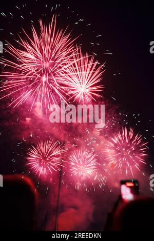 Fuochi d'artificio durante il festival di Zurigo del 2023 Foto Stock