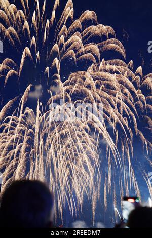 Fuochi d'artificio durante il festival di Zurigo del 2023 Foto Stock