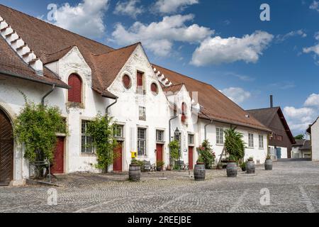 Ex fienili del monastero sulla piazza del monastero dell'ex abbazia benedettina, Rheinau, Andelfingen, Canton Zurigo, Svizzera Foto Stock