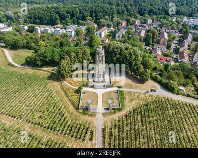 Vista aerea della Torre Bismarck sul Raiteberg nella parte settentrionale della città di Costanza, vigneti sul lago di Costanza, contea di Costanza Foto Stock