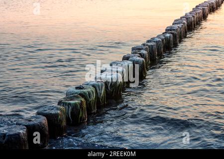 Inguine ricoperte al tramonto Foto Stock