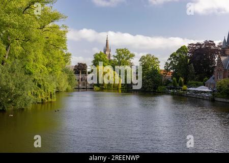 Vista sulla città con la torre dell'Onze-lieve-Vrouwekerk, la chiesa di nostra Signora, il Minnewaterpark, Bruges, Belgio Foto Stock