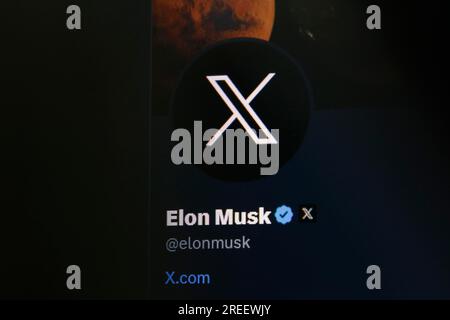 Immagine simbolica dei social media, primo piano di uno schermo scuro con il logo X nell'account di Elon Musk sul sito web del servizio di messaggistica breve Twitter, Germania Foto Stock