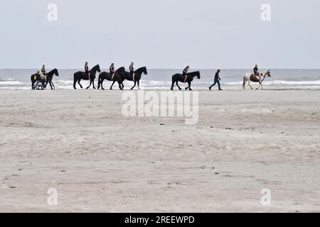 Gruppo di cavalieri sul Mare del Nord, Terschelling, Paesi Bassi Foto Stock