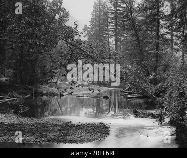 Merced River, Yosemite - Pub. By York & Son - Data: 1881-1888 - giro del mondo con una fotocamera (lezione) - diapositiva della lanterna di vetro antica (formato britannico) Foto Stock