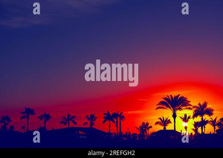 Tramonta sulla spiaggia con palme sagomate contro il cielo viola Foto Stock