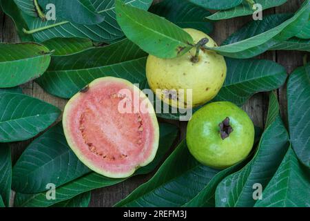 Guava rossa fresca con foglie verdi su fondo di legno. Consistenza di legno e foglie di guava. Foto Stock