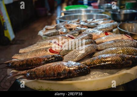 Bangkok, Thailandia. 27 luglio 2023. Il pesce in vendita è visibile in una bancarella al mercato NOK di Phran, nel quartiere Yai di Bangkok. Il mercato di Prannok nell'area della città vecchia sul lato di Thonburi è un antico mercato di oltre 60 anni, che offre una varietà di prodotti freschi e cibo pronto da mangiare per i thailandesi, i thailandesi di origine cinese o i turisti, inoltre, situato in Itsaraphap Road, Bangkok Yai District, a Bangkok, Thailandia. (Foto di Nathalie Jamois/SOPA Images/Sipa USA) credito: SIPA USA/Alamy Live News Foto Stock