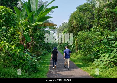 Un cartello all'ingresso del corridoio ferroviario, una cintura verde lungo l'ex linea ferroviaria per la Malesia; vicino alla vecchia stazione ferroviaria di Bukit Timah, Singapore Foto Stock