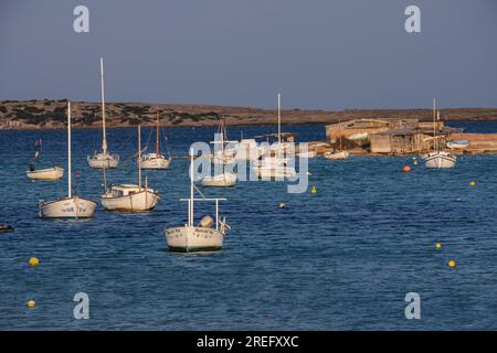 Estany des Peix, Formentera, Isole Pitiusas, Comunità Balearic, Spagna Foto Stock