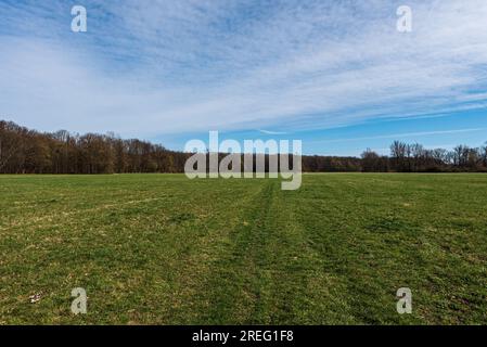 Enorme prato primaverile con foresta intorno e cielo blu con nuvole a CHKO Poodri, vicino alla città di Ostrava, nella repubblica Ceca Foto Stock