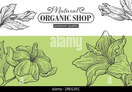 Banner o volantino pubblicitario e di marketing per clienti di negozio biologico e naturale. Deposito con assortimento di prodotti per vegan, fiori ed erbe, Illustrazione Vettoriale
