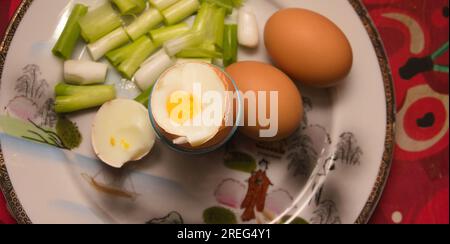 cibo per la colazione, uova sode, uova, cipollotti tritati, su un piatto dipinto a mano , roxy china, piatto, cibo dietetico, dieta, vista dall'alto, pasto piccolo Foto Stock