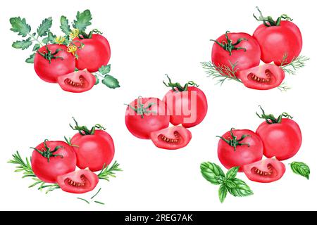 Un set con composizioni di pomodori rossi ed erbe aromatiche. Illustrazione acquerello isolata su bianco per pacchetto di etichette clipart Foto Stock