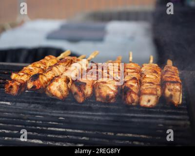 Pollo alla griglia su spiedini alla fiera gastronomica Banbury Taste of Spring del 2022 Foto Stock