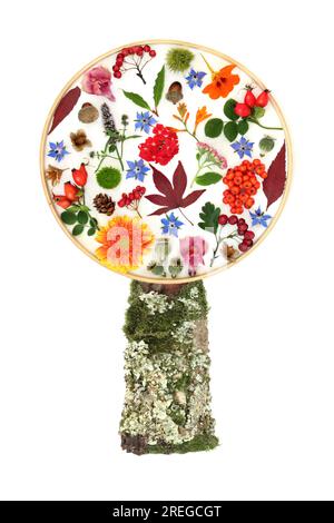 Disegno a forma di albero autunnale del Ringraziamento. Foglie di fiori, noci, frutti di bosco su sfondo bianco. Flora e fauna colorate astratte e surreali composit Foto Stock