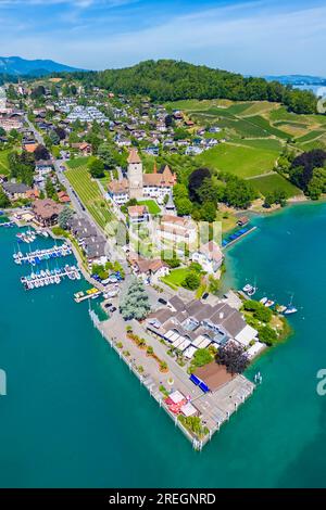 Vista aerea del castello di Spiez e del lago di Thun in estate. Oberland Bernese, distretto amministrativo Frutigen-Niedersimmental, Cantone di Berna, Svizzera. Foto Stock