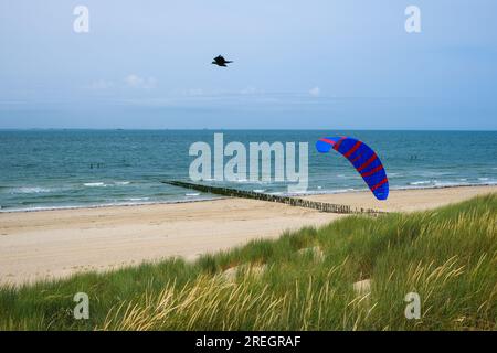 Vlissingen, Zelanda, Paesi Bassi - spiaggia sabbiosa, paesaggio di dune, Mare del Nord, città portuale sulla costa meridionale della penisola di Walcheren nel promontorio olandese Foto Stock