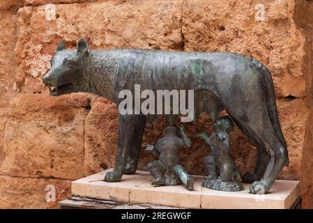 Lupo capitolino a Tarragona in Spagna Foto Stock