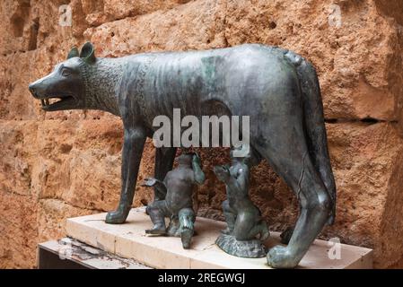 Lupo capitolino a Tarragona in Spagna Foto Stock