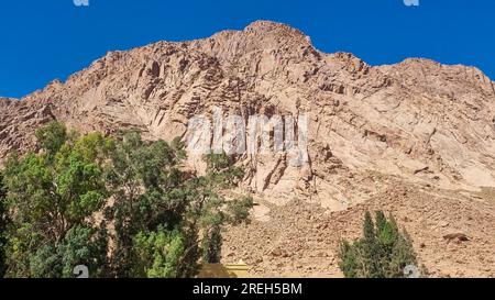 Monastero di Santa Caterina ( دير القدّيسة كاترين o Moni tis Agias Aikaterinis), ufficialmente Sacro Monastero reale autonomo di Santa Caterina Foto Stock