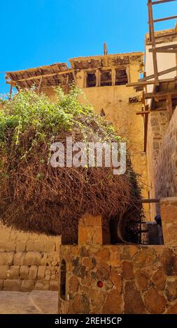 Il Bush ardente nel monastero di Santa Caterina ( دير القدّيسة كاترين o Moni tis Agias Aikaterinis), ufficialmente il Sacro Monastero reale autonomo Foto Stock