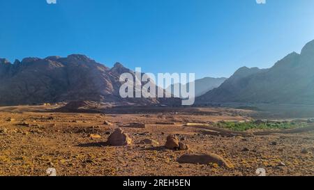 Paesaggio desertico di alta montagna del Sinai vicino al Monastero di Santa Caterina ( دير القدّيسة كاترين o Moni tis Agias Aikaterinis), ufficialmente il Sacro Auto Foto Stock