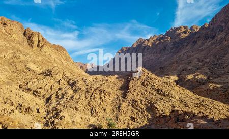 Paesaggio desertico di alta montagna del Sinai vicino al Monastero di Santa Caterina ( دير القدّيسة كاترين o Moni tis Agias Aikaterinis), ufficialmente il Sacro Auto Foto Stock