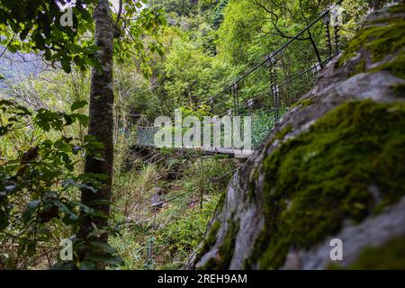 Un ponte sospeso mozzafiato attraversa con grazia una profonda gola tra le lussureggianti foreste del Parco Nazionale di Taroko, offrendo un viaggio affascinante. La panora Foto Stock