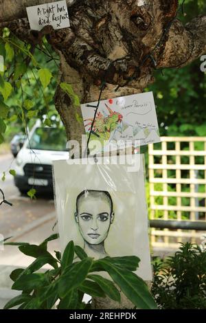 Londra, Regno Unito. 28 luglio 2023. I fan rendono omaggio alla premiata cantante Sinead o'Connor al London Irish Center di Camden, a nord di Londra, inclusa una carta che l'ha salutata come una "principessa guerriera". La leggenda irlandese Sinéad o'Connor morì mercoledì 26 luglio 2023 all'età di 56 anni dopo essere stata trovata "insensibile" in un indirizzo residenziale nel quartiere SE24 di Londra. Crediti: Waldemar Sikora/Alamy Live News Foto Stock