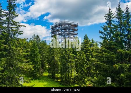 Sentiero pedonale con tettoia della foresta sopra le cime degli alberi, avventura all'aperto a Rogla, Slovenia Foto Stock