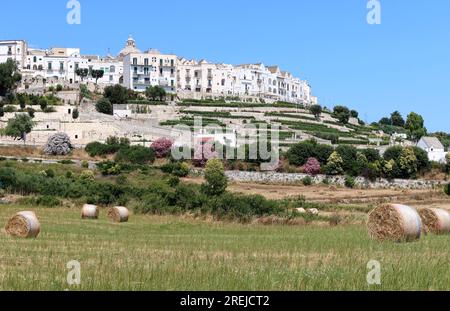 Locorotondo, Italia. 10 luglio 2023. Una ripresa di Locorotondo in Valle d'Itria, Puglia, Italia, il 10 luglio 2023. Secondo un recente articolo del Guardian, la Valle d'Itria, un'ampia valle agricola nei pressi di Bari ricca di vigneti e ulivi, è uno dei luoghi più segreti d'Italia. (Foto di Elisa Gestri/Sipa USA) credito: SIPA USA/Alamy Live News Foto Stock