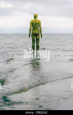 Fulsam Rock vicino alla galleria Turner Gallery, Margate., Kent, Regno Unito Foto Stock