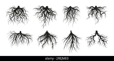 Sistema di radici degli alberi, steli di piante coltivate in sottosuolo. Vettore di albero di radice sotterraneo, illustrazione della silhouette della foresta Illustrazione Vettoriale
