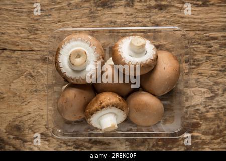 Funghi di castagno, coltivati in Polonia e importati nel Regno Unito. Foto Stock