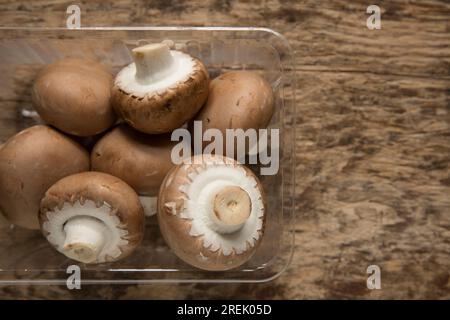 Funghi di castagno, coltivati in Polonia e importati nel Regno Unito. Foto Stock