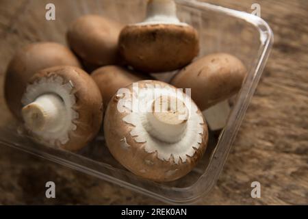 Funghi di castagno, coltivati in Polonia e importati nel Regno Unito. Foto Stock