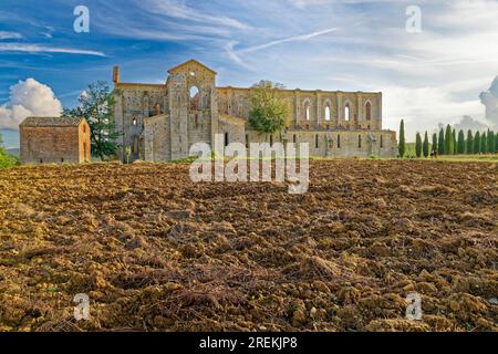 Rovine ecclesiastiche dell'Abbazia cistercense di San Galgano, Abbazia San Galgano, Gotico, Toscana, Italia Foto Stock