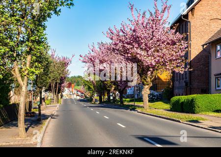 Siptenfelde locale attraverso la strada B242 Harz Foto Stock