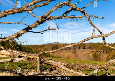 Ring of Remembrance Border Trail Museo di confine sorgono nelle montagne Harz Foto Stock