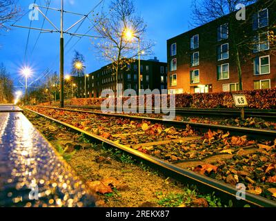 La strada ferroviaria riduce la vista prospettica sotto le luci della città Foto Stock