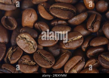 Caffè (Coffea arabica) in chicchi India Monsooned Malabar, tostati Foto Stock