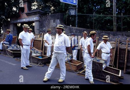 Willow Sledge a Monte, Funchal, Madeira Foto Stock