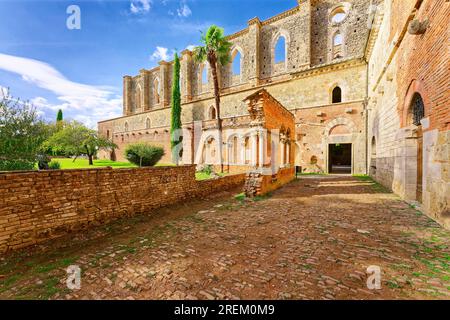 Ruderi ecclesiastici dell'Abbazia cistercense di San Galgano, Abbazia San Galgano, Gotico, Chiusdino, Toscana, Italia Foto Stock