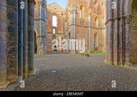 Transetto, traversata e coro, rovine della chiesa cistercense di San Galgano, Abbazia San Galgano, Gotico, Chiusdino, Toscana, Italia Foto Stock