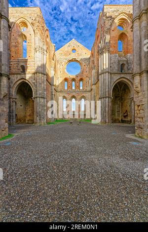 Transetto e coro, rovine dell'Abbazia cistercense di San Galgano, Abbazia San Galgano, Gotico, Chiusdino, Toscana, Italia Foto Stock