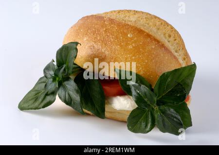 Panino con erbe di funghi (Rungia klossii), Moku, Tani, Kenkana, panini Foto Stock