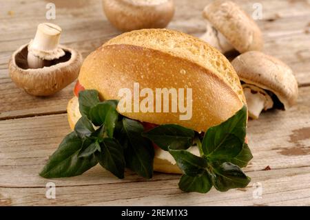 Panino con erbe di funghi (Rungia klossii), Moku, Tani, Kenkana, panini Foto Stock